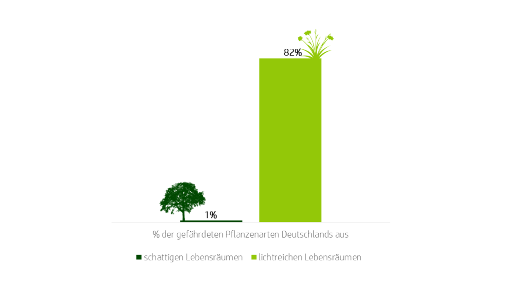 Balkendiagramm zeigt niedrigen Balken mit 1 % der gefährdeten Pflanzenarten Deutschlands, die in schattigen Lebensräumen wie Wäldern vorkommen. Hoher Balken zeigt 82 % gefährdete Pflanzenarten aus lichtreichen Lebensräumen wie Wiesen.