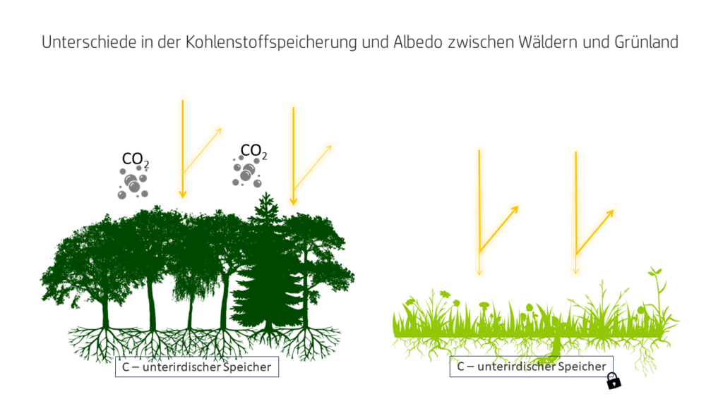 Die Abbildung zeigt links einen Wald und rechts eine Wiese. Der unterirdische Kohlenstoffspeicher des Waldes hat kein Schloss-Symbol, der unterirdische Kohlenstoffspeicher der Wiese hingegen schon. Gelben Pfeile, die auf den Wald zeigen, sind durchgehend dick und nur ein dünner Pfeil geht zurück, während der Pfeil, der auf die Wiese zeigt, am Ende dünn ist und der dickere davon zurückgehende Pfeil nach oben in den Himmel zeigt. Über dem Wald sind graue Gasblasen, auf denen CO2 steht, dargestellt.